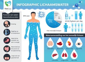 2. Waarom water drinken zo belangrijk  is (en hoe je het leuk houdt)